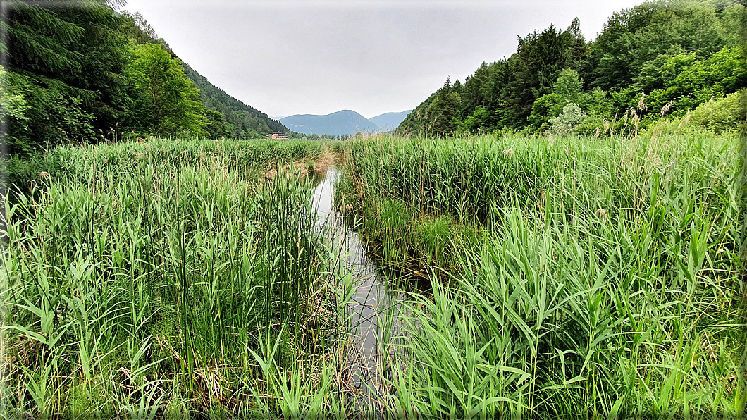 foto Lago di Lases